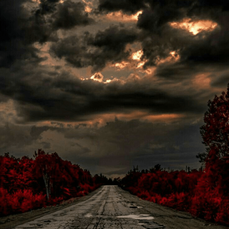 Hiftol Hicham Lotfi Github - Premium Landscape Illustration Gallery - High Resolution