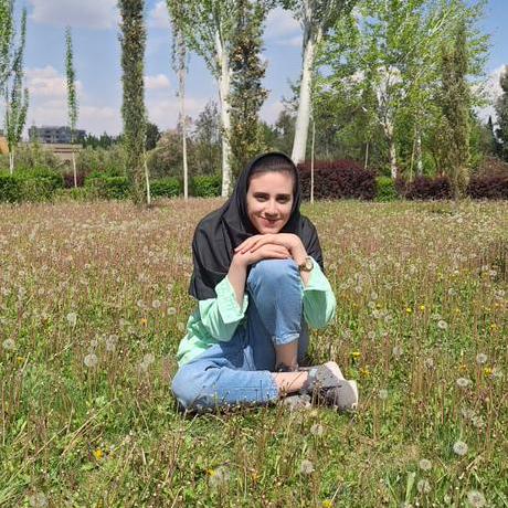 Kiana 1207 Github - Classic Geometric Background - 4K