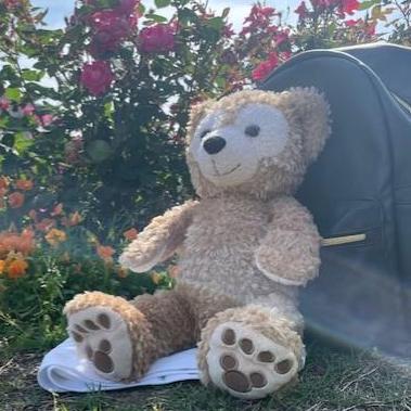 Github Da Matsumoto Microcmstest - City Image Collection - 4K Quality