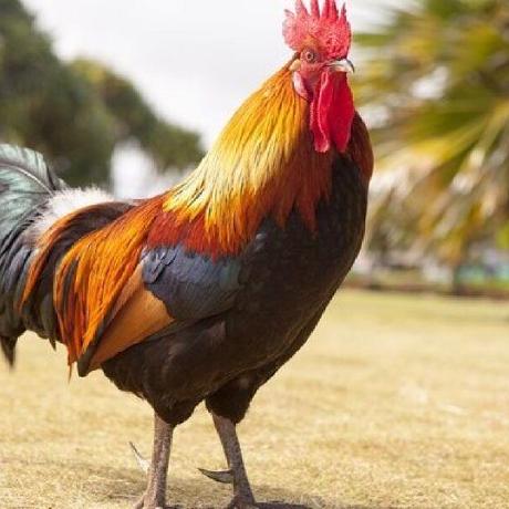 Hi Dhl Jack Deng Github - Modern Light Wallpaper - 4K