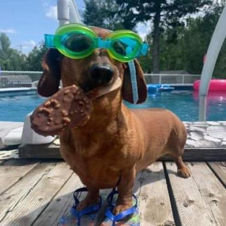 Eu R Araujo Github - Premium Nature Design Gallery - HD