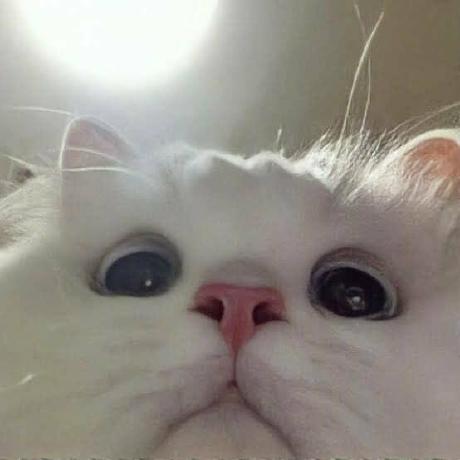 Nusrat Jahan Jeem Github - Retina Landscape Illustrations for Desktop