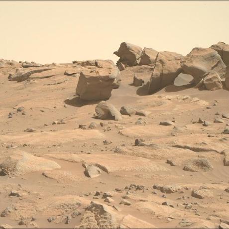 Eduardogiannini Eduardo Giannini Github - Classic Light Pattern - 8K