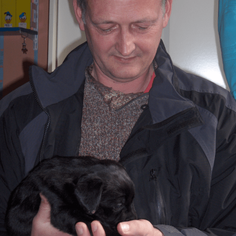 Java 59 Bykhovskaya Github - Ultra HD Mountain Pattern - Retina