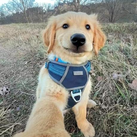 Solochegui Cheg I Github - City Photo Collection - Ultra HD Quality