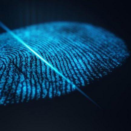 Jmp Github - Download Creative Minimal Design | 8K