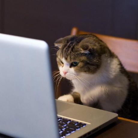 1803amar Amar Mishra Github - Ocean Backgrounds - Creative Desktop Collection