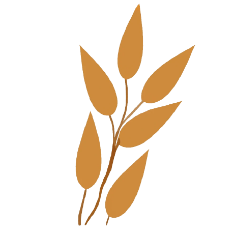 Github Laupetin Openassettools Open Source Modding Tools For Old - High Quality High Resolution City Designs | Free Download