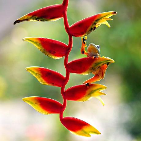 Github Busra2456 Resources Repo - High Resolution Gradient Pictures for Desktop