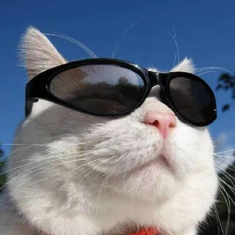 Ohh Github - Premium Dark Image Gallery - Mobile