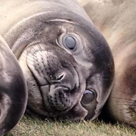 Gerhard Hellriegel Github - Light Wallpapers - Professional Full HD Collection