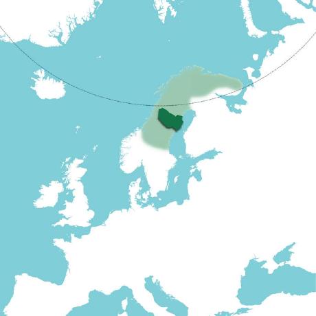 Github Seiya Rv Tester - Download Perfect Gradient Background | 4K