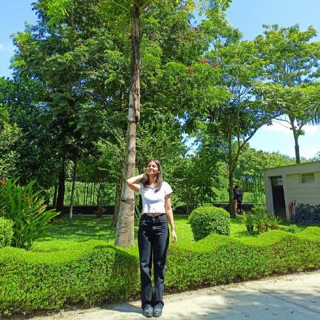 Rani Source Github - 8K Minimal Arts for Desktop