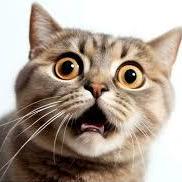 Nishu 18324 Github - Ocean Designs - Ultra HD 8K Collection