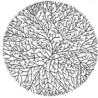 Adic Umbria Github - Download Gorgeous Vintage Picture | Full HD