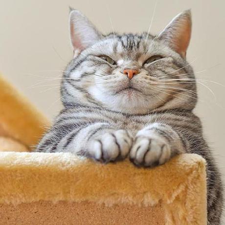 Github Renoirlucena My Shift - Landscape Textures - Professional Mobile Collection