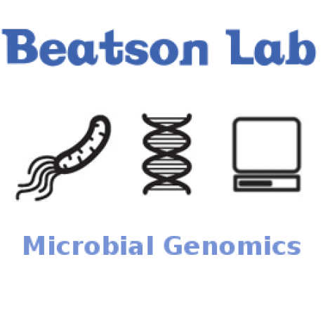 Github Beatsonlab Microbialgenomics Vfdb Mirror Virulence Factors - Premium Geometric Photo Gallery - 8K