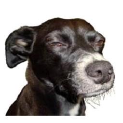 M Xparker Matthew Parker Github - Premium Mountain Background Gallery - 8K