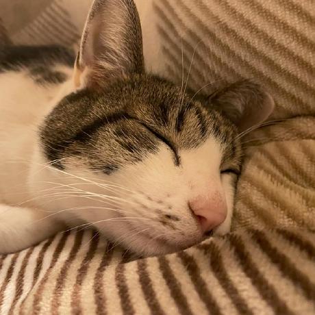 Github Dearlordchen Papapa Node - Geometric Images - Modern Desktop Collection