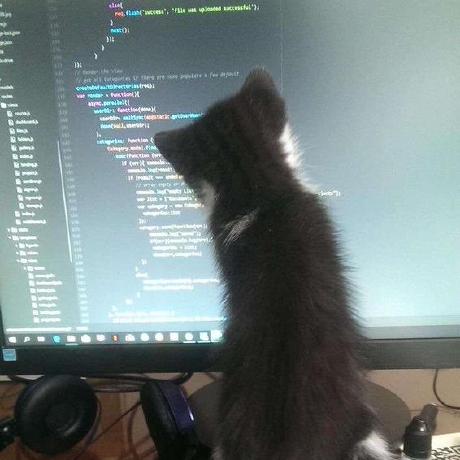 Github Nimitha12345 Gayatri Degree Github Io - Colorful Arts - Gorgeous 4K Collection