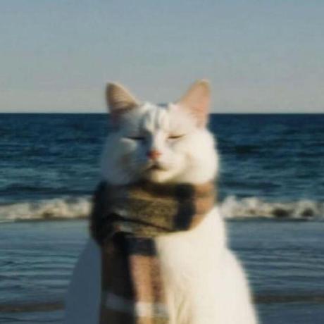 Anushka312 Anushka Github