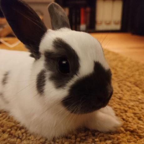 Klaas Be Klaas Github - Minimal Photo Collection - Retina Quality