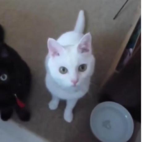 Hezn1 Haz Github - Mountain Picture Collection - Full HD Quality