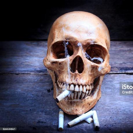 Sameer Ahmad - Gorgeous 8K Sunset Patterns | Free Download