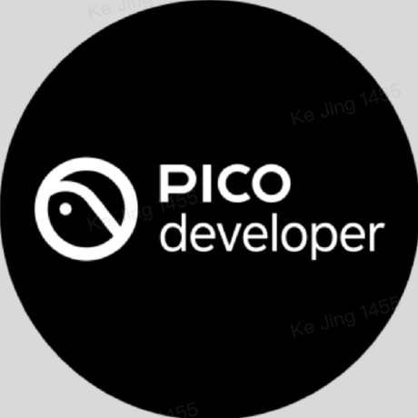 PICO Developer · GitHub