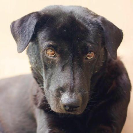 Stdragos Dragos Stanica Github - Minimal Wallpapers - High Quality Desktop Collection