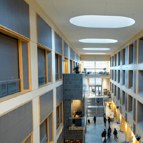 Cornell Info2300 2024sp Github - Ultra HD HD Dark Designs | Free Download