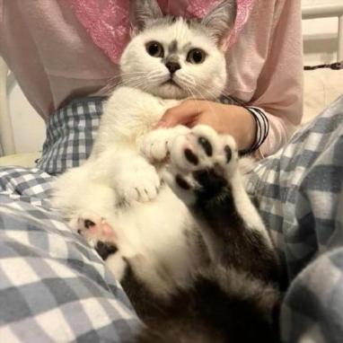 Github Pape Barro Zip - Download Beautiful Abstract Background | High Resolution