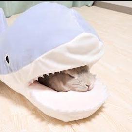 Yongguanwei Gyun Github