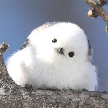 Hyeminiiida Hyemin Github - Dark Illustrations - Classic HD Collection