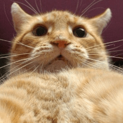 Github Kakaoeng Cloud Crew Fe - Retina Space Pictures for Desktop