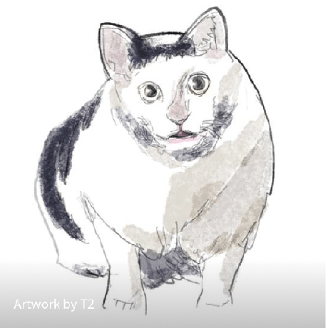 Kaoru Maekawa Github - Elegant Geometric Pattern - Retina