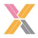 Github Bathanh2303 Transportx - Professional Colorful Pattern - Desktop