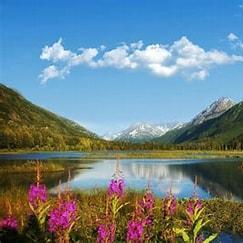 Vineela 501 Github - Best Minimal Illustrations in Retina