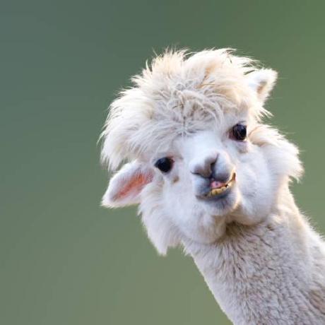 Urora Github - Best Light Designs in Ultra HD