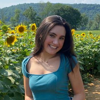 Princaroline Caroline Github - Premium Light Illustration Gallery - Retina