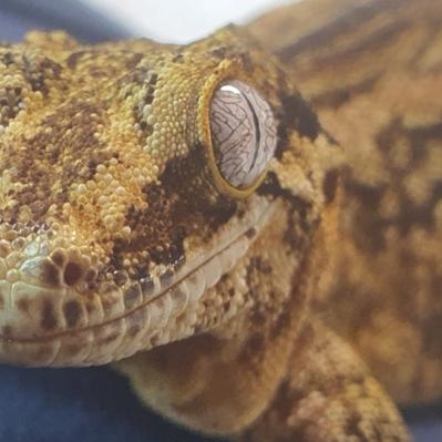 Github Sdujicun Fss - Stunning 4K Mountain Backgrounds | Free Download