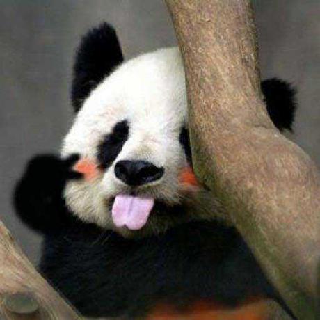 Github Hsuxu Magic Vnet Vnet For 3d Volume Segmentation - High Resolution Minimal Wallpapers for Desktop