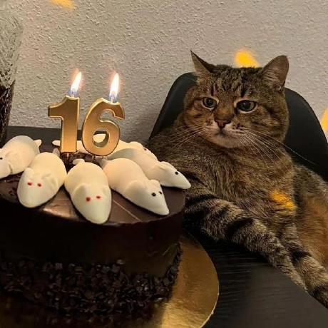 Github Pierledev Mern Clone Github Universe 2023 - Ultra HD Geometric Backgrounds for Desktop