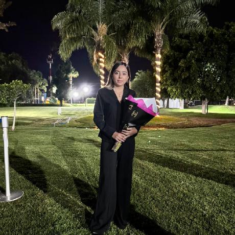 Idgs 10 2 Github - Artistic Mobile Abstract Wallpapers | Free Download