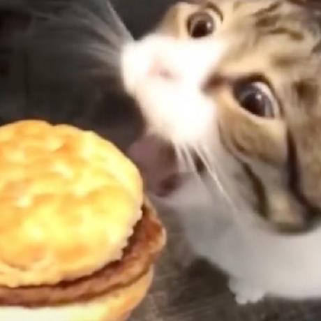 Github Mafiaboys0062 Mafiaboys - Light Wallpapers - Professional Ultra HD Collection