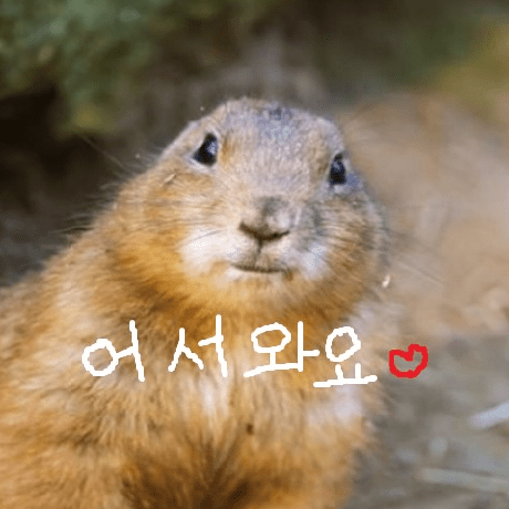 Do Sensei Do Ju Seong Github - Desktop Abstract Photos for Desktop