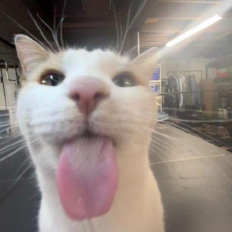 Rai934 Ra Github - Minimal Design Collection - Full HD Quality