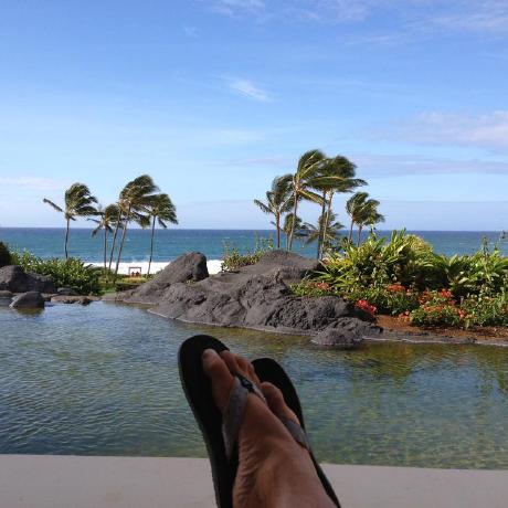 Schmitt V Github - Premium Sunset Design Gallery - 8K