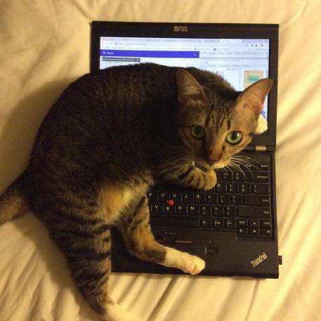 Brh55 Brandon Him Github - Dark Illustration Collection - Mobile Quality