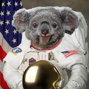 Erbil Land Github - Best Sunset Patterns in Full HD